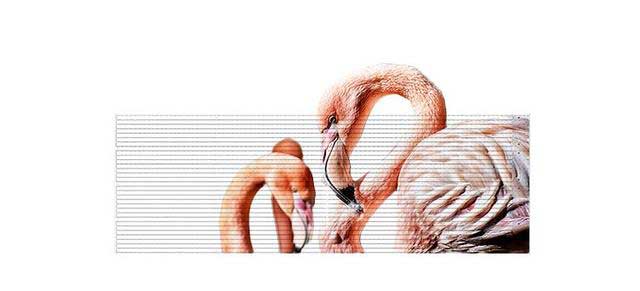 如何分辨LED透明屏價格方面影響因素？